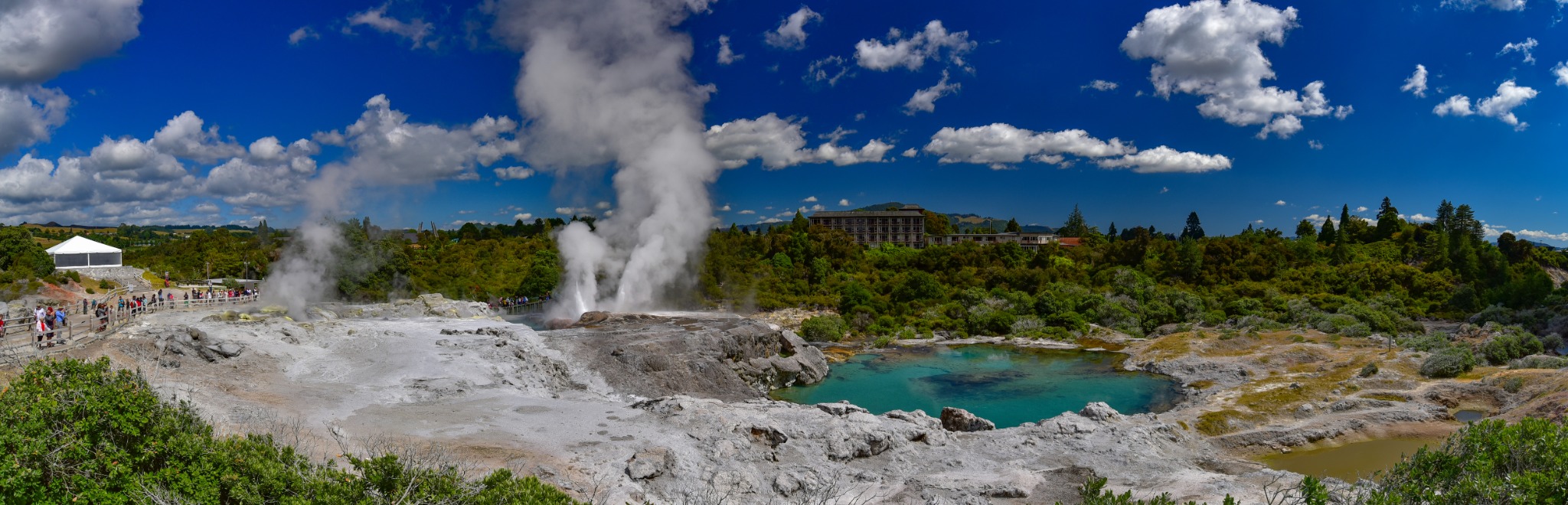 Te Puia geothermal valley